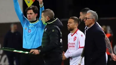 بعد غياب دام عامين.. بابو جوميز يعود للمشاركة من جديد