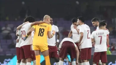 ترتيب الدوري المصري قبل الجولة 14